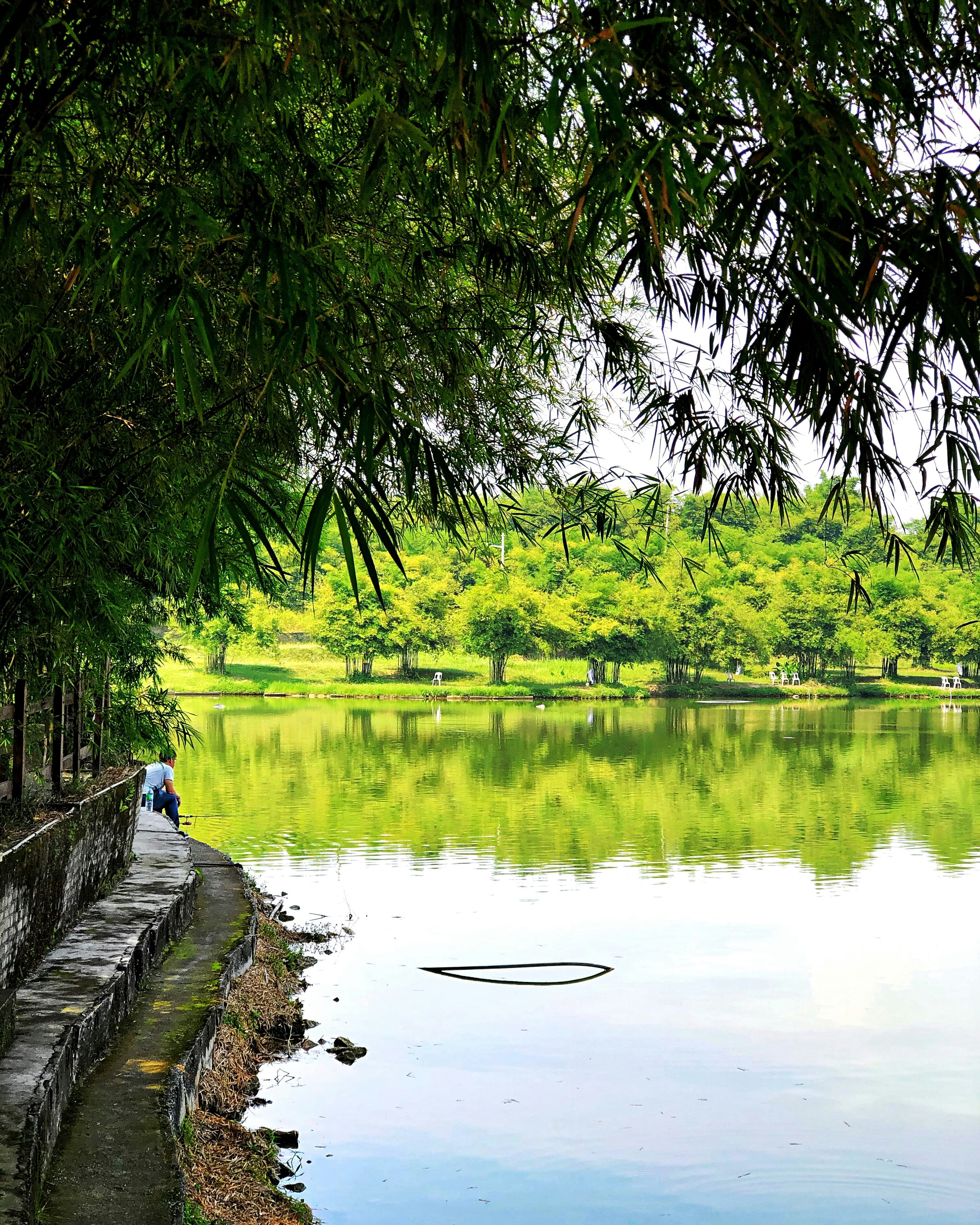 person in blue shirt and blue denim jeans sitting on concrete dock near lake during daytime